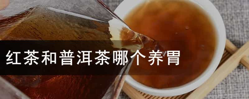 红茶和普洱茶哪个养胃