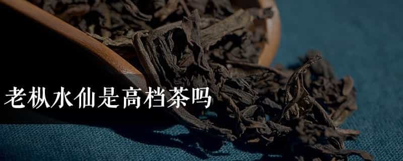 老枞水仙是高档茶吗