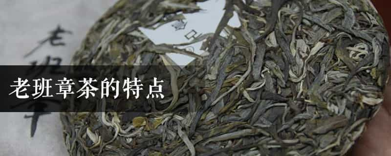 老班章茶的特点