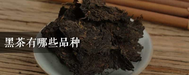 黑茶有哪些品种