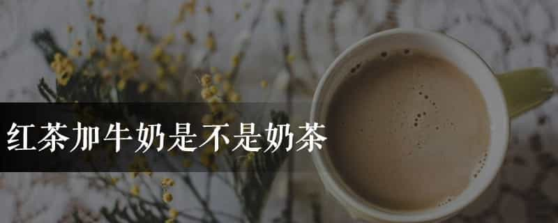 红茶加牛奶是不是奶茶