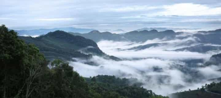 云南攸乐茶区在哪儿 攸乐古茶山介绍