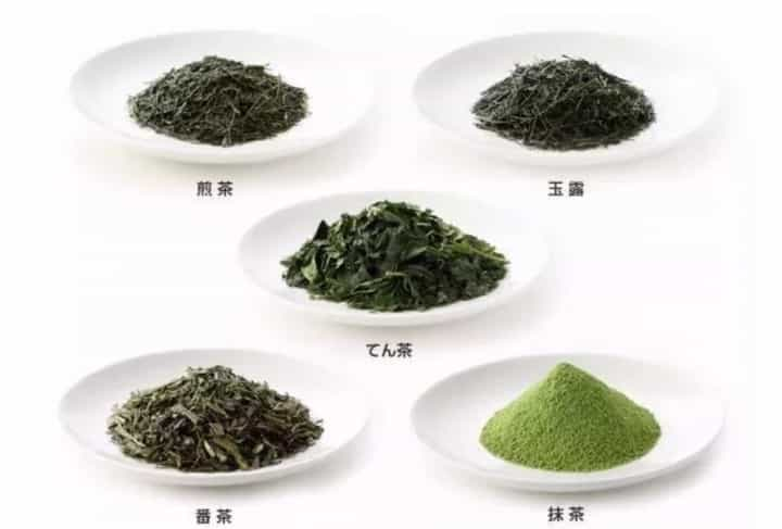 日本茶有哪些？日本茶叶品种介绍