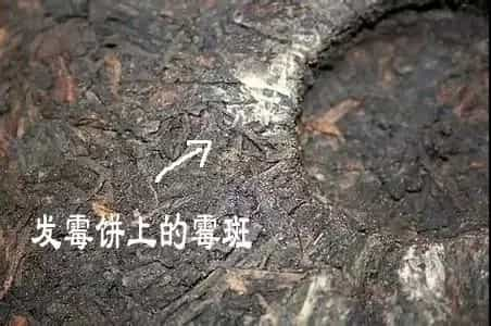 存了几年的老茶受潮了，怎么办？