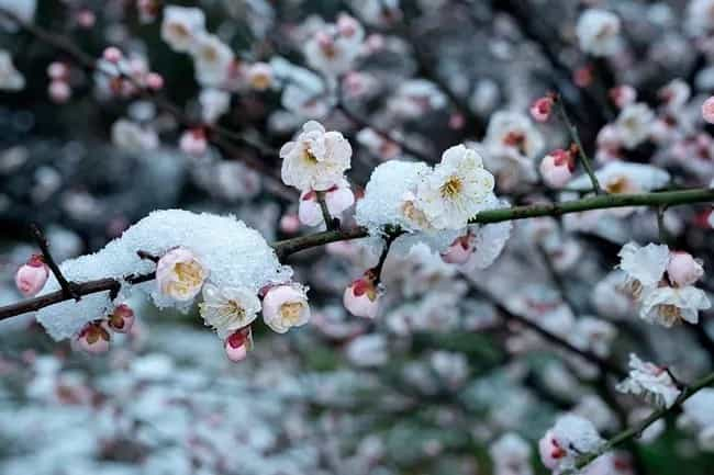 小雪时节，如何养生！