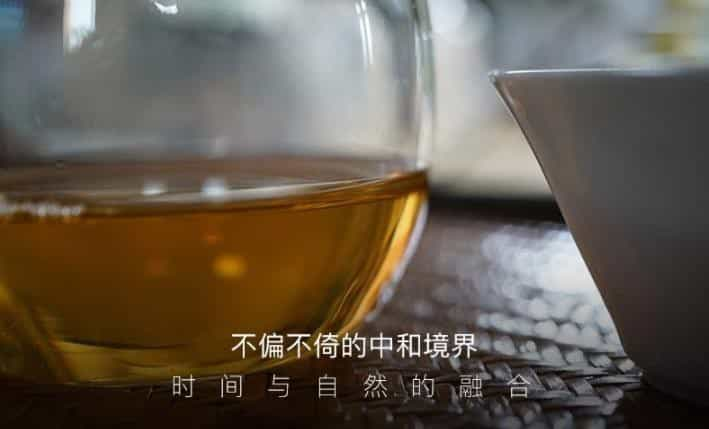 一起来看看那些普洱茶友绕不过的坎!