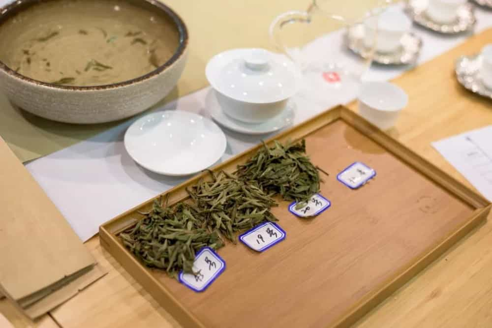 品味白茶，这些茶叶的香气不能少