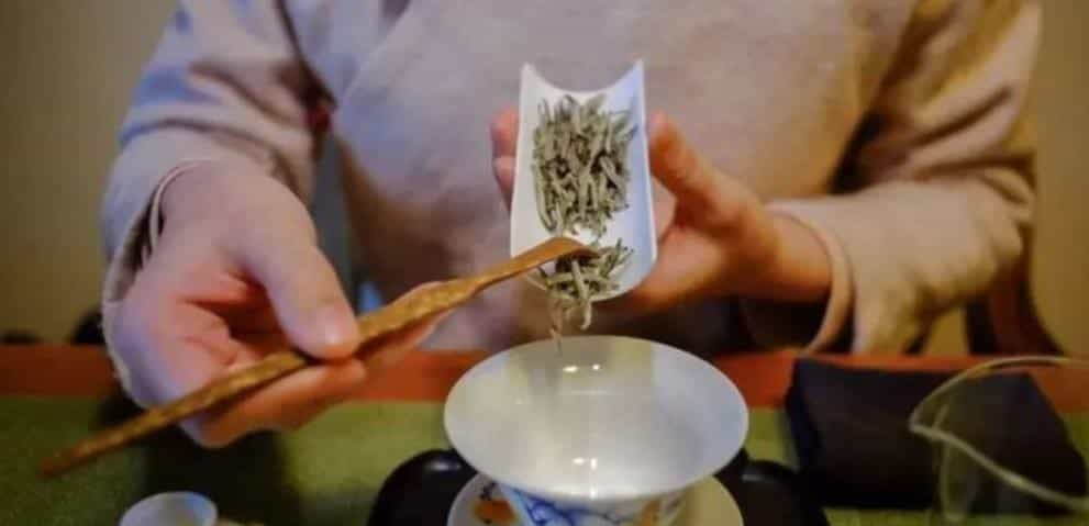 品味白茶，这些茶叶的香气不能少