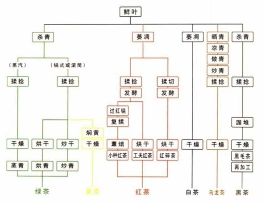 喝茶入门的相关知识