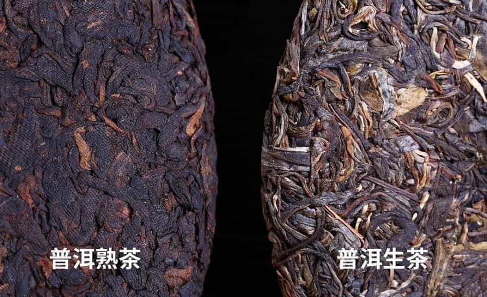 茯茶和普洱茶有什么区别