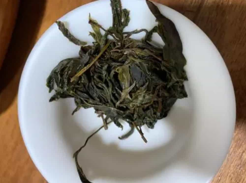 薄荷糖普洱茶是哪个寨子，有什么特点