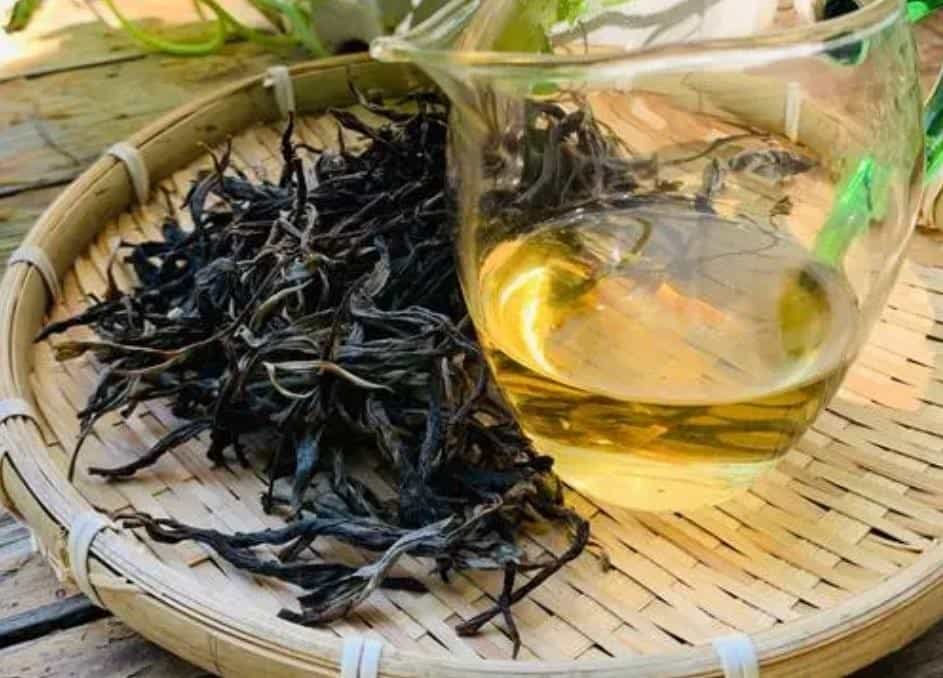 忙肺山古树茶特点图片