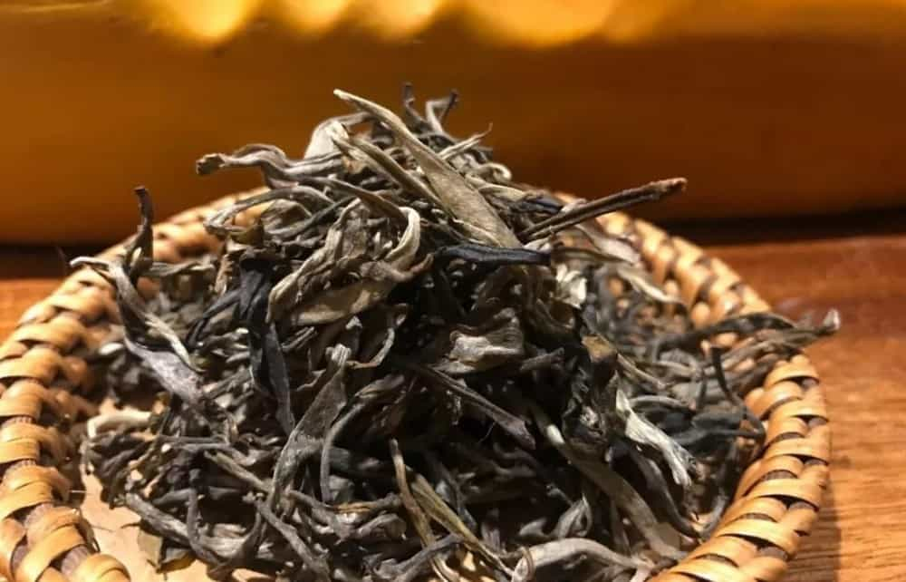 滑竹梁子古树茶的口感与特点