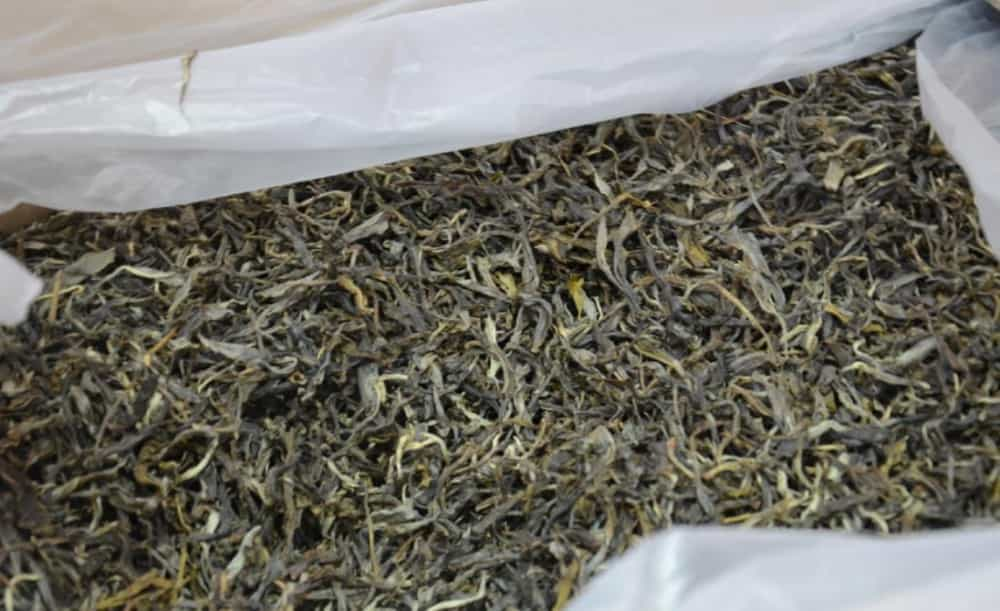 昔归古树茶的口感特点