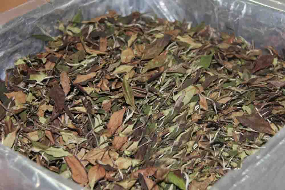 六大茶类有哪些代表性名茶