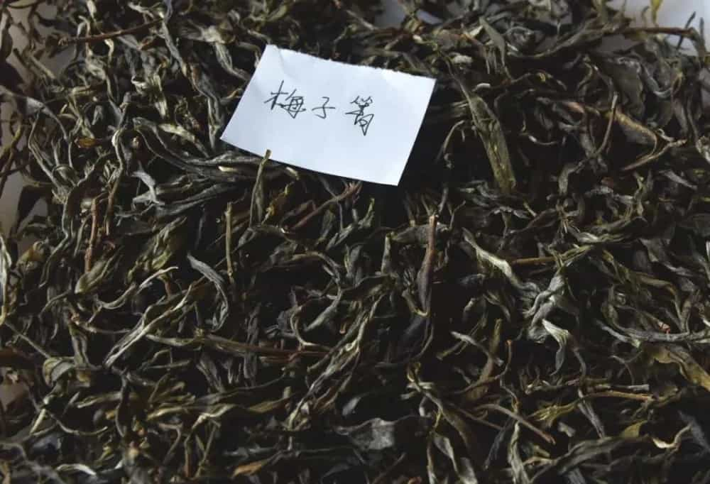 锅底塘古树茶口感特点