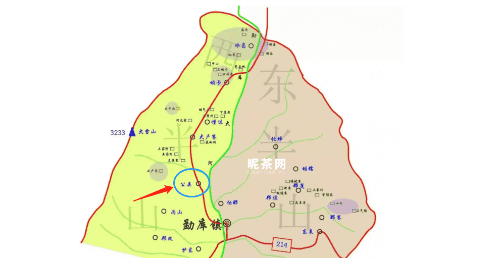 公弄山古树茶的特点