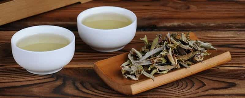 芽孢茶属于什么茶