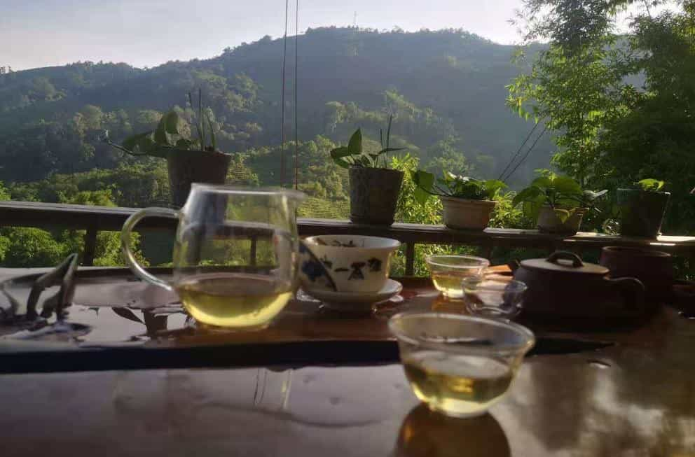 云南普洱茶六大山头特点