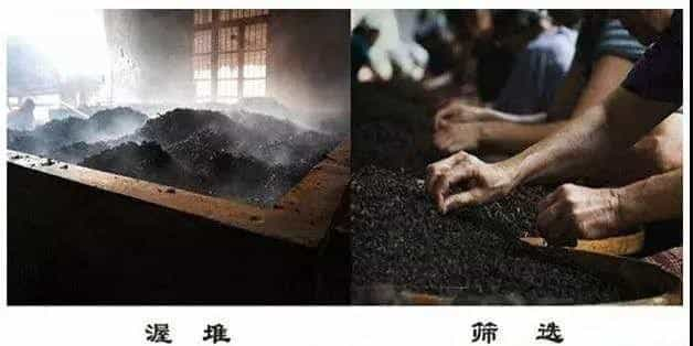 后发酵茶是什么茶