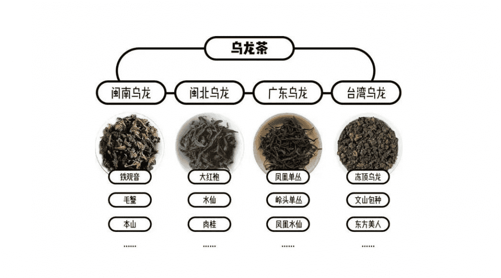 福建乌龙茶产地