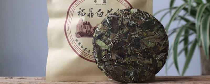 白茶产地是哪里