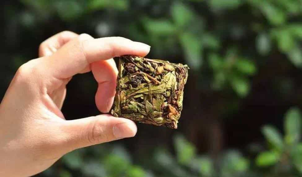 茶叶越耐泡，茶叶就越好？其实还有这些因素