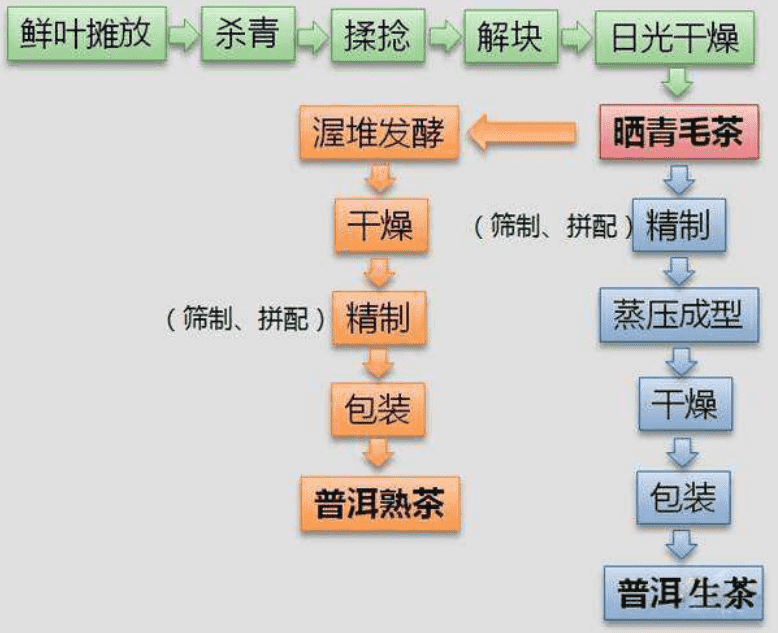 云南红茶和普洱茶区别