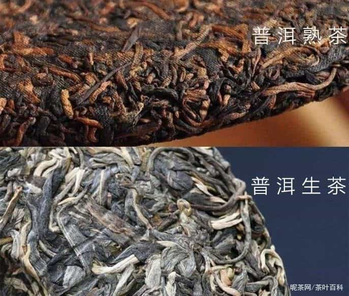 生茶和熟茶的区别在哪里