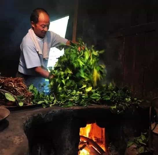 黑茶最关键的一道工序是