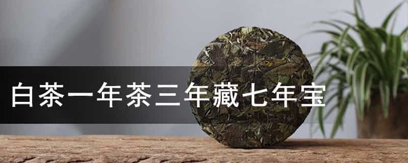 白茶一年茶三年藏七年宝