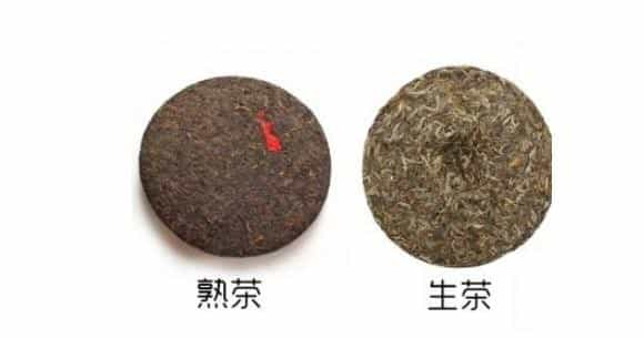 普洱茶生茶与熟茶的七大区别