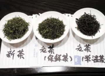 鉴茶必备：新茶与陈茶的判断小妙招