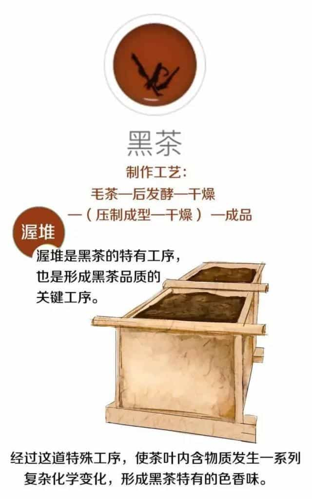 茶叶是怎么制作出来的