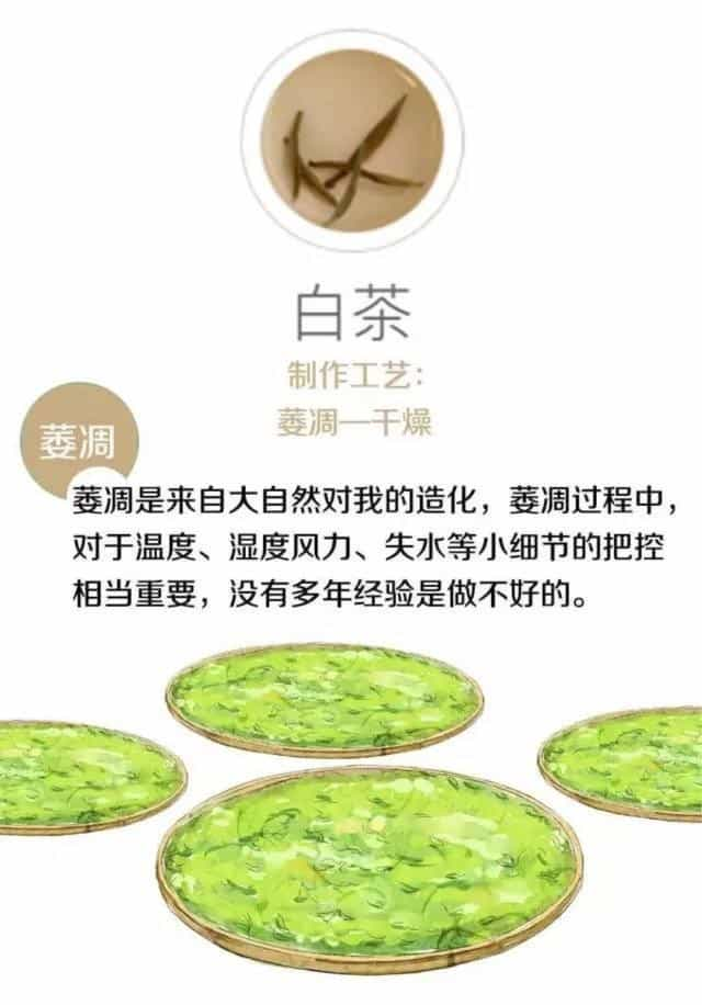 茶叶是怎么制作出来的