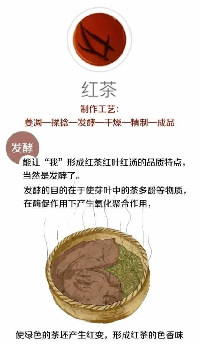 茶叶是怎么制作出来的