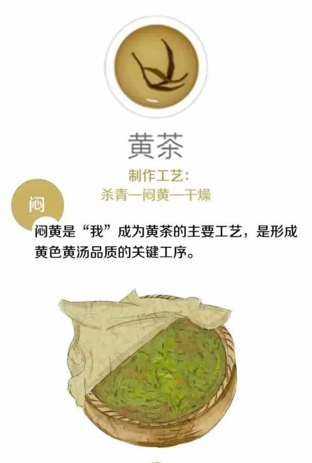 茶叶是怎么制作出来的