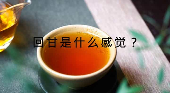 喝茶时的回甘是一种什么感觉