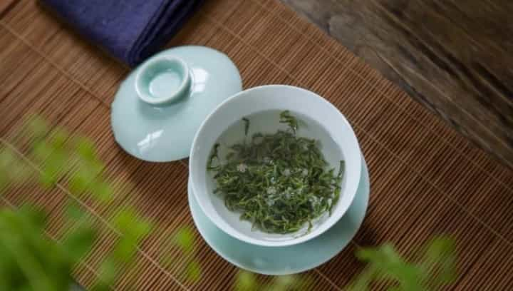 信阳毛尖哪个季节的茶叶最好