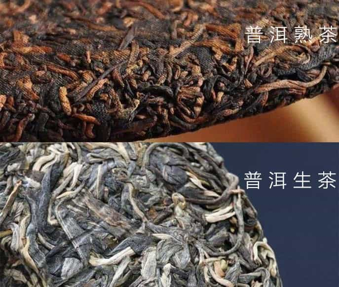 普洱生茶和熟茶的区别是什么