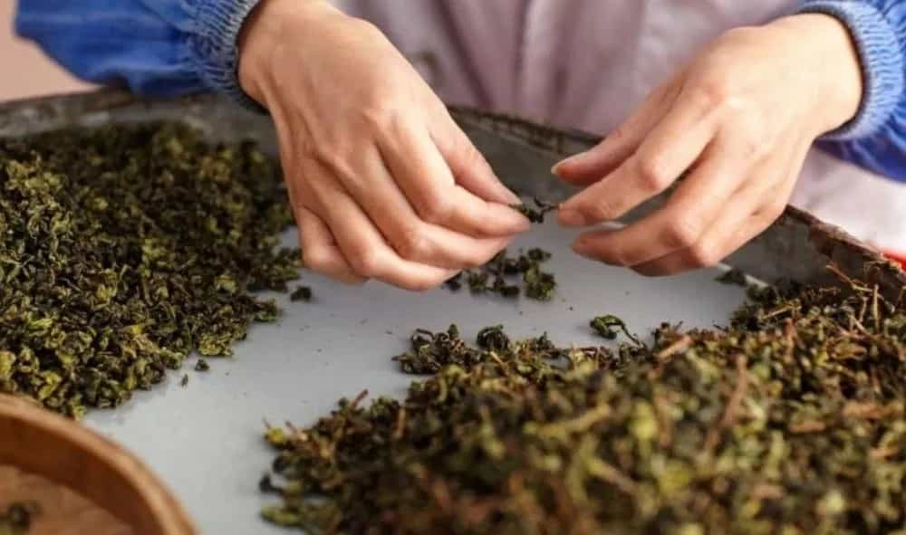 科学饮茶，长期陈放的茶叶，还能喝吗