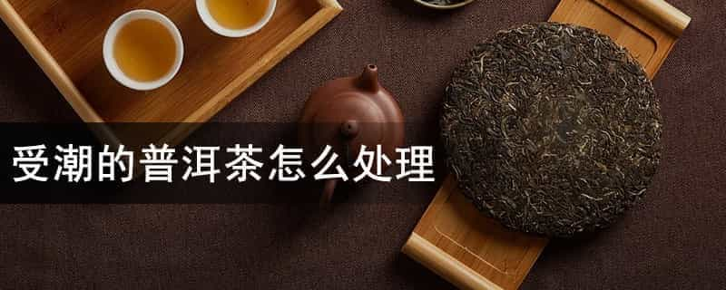 受潮的普洱茶怎么处理