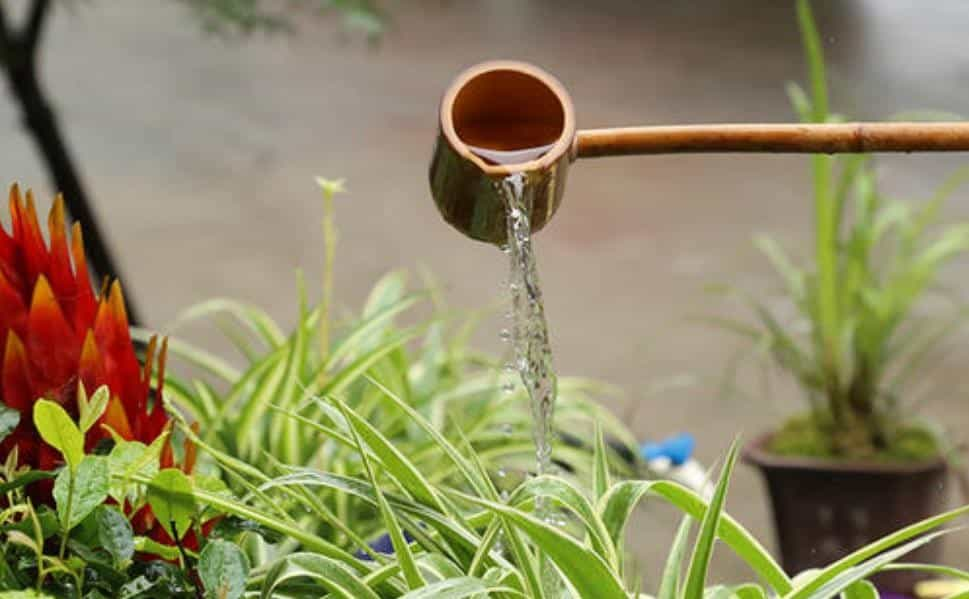 茶叶水浇花好吗