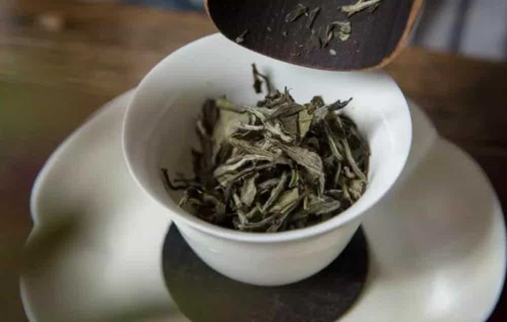 怎么冲泡白茶 需要洗茶吗