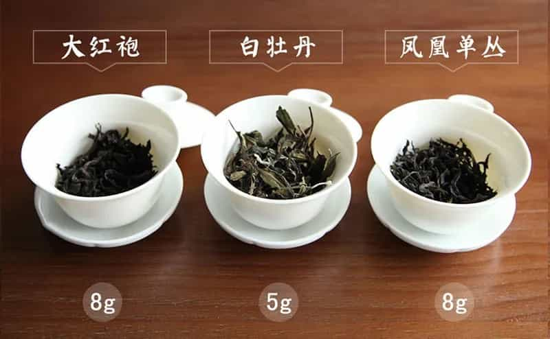 13种常见茶叶投茶量，这样投茶茶汤更香醇