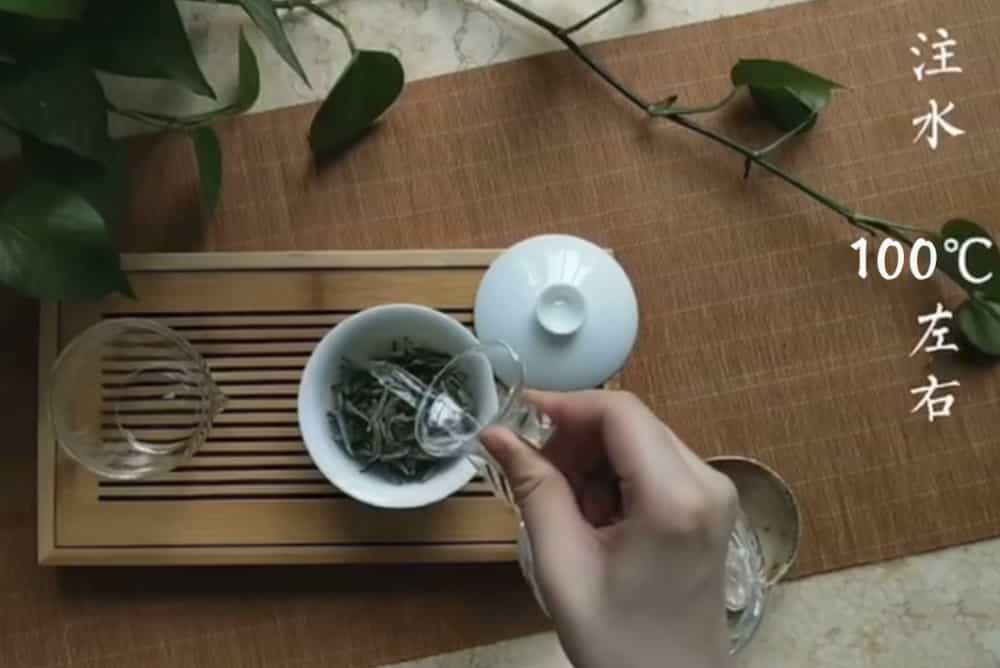 白牡丹茶的正确泡法