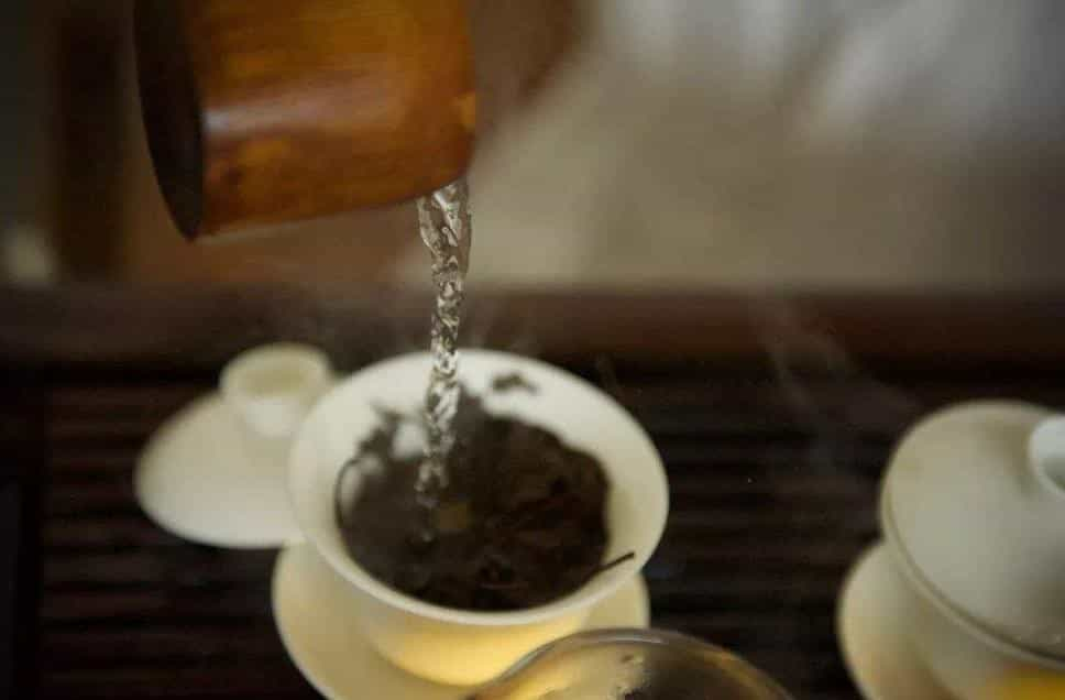 什么茶需要洗茶