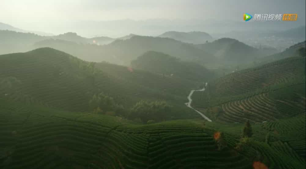 《三十而已》，原来顾佳接手的茶山就在这里？还有多部剧