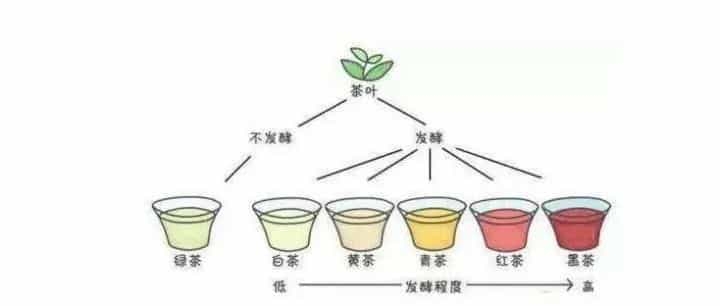 过年送茶有讲究，这么送准没错