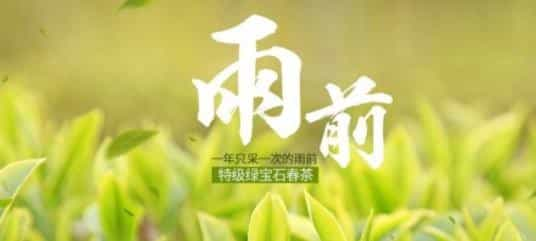 春茶的那些事，喝茶人一定要看？明前茶，雨前茶